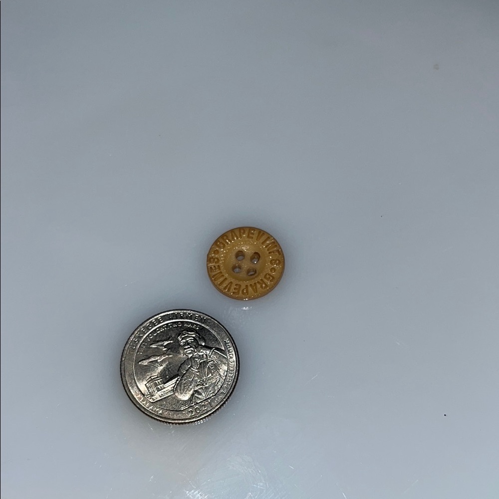 GRAPEVINES Vintage Button
